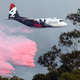 The firefighting aircraft that crashed on Thursday, registration number N134CG, is seen on an earlier mission in New South Wales, Australia on January 10, 2020.